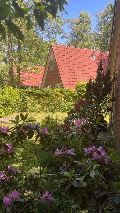 Guesthouse "Cosmea" Olst Exterior foto